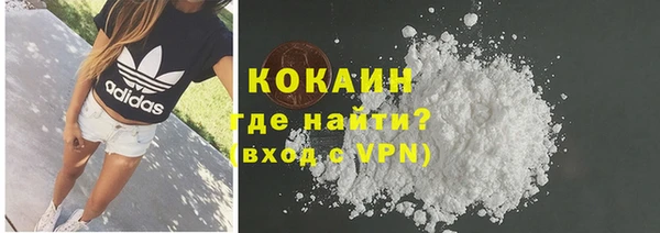 PSILOCYBIN Армянск