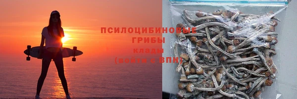 дмт Арсеньев