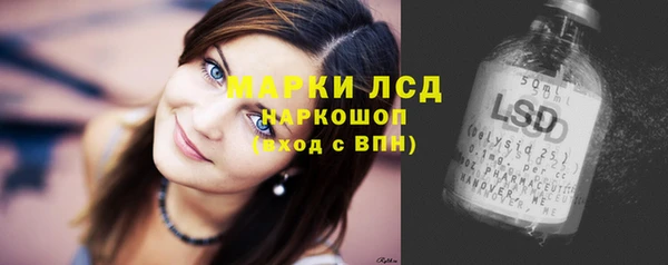 PSILOCYBIN Армянск