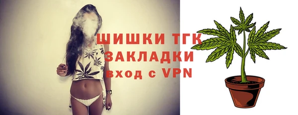 дмт Арсеньев