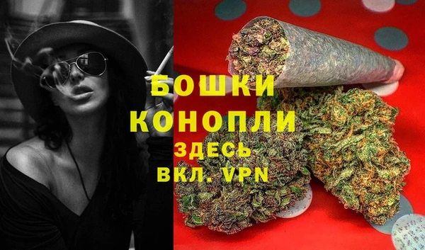 PSILOCYBIN Армянск