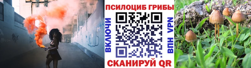 omg ONION  Георгиевск  Галлюциногенные грибы Magic Shrooms 